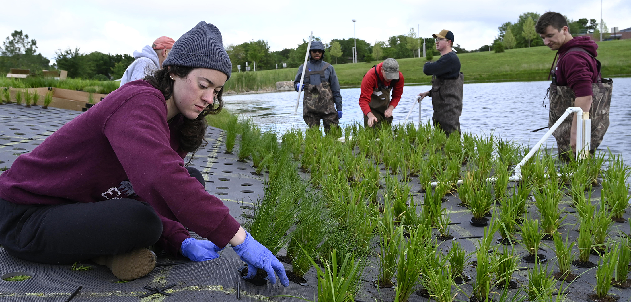 What Education Do You Need To Become An Environmental Engineer